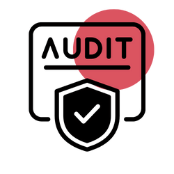 Audit Report